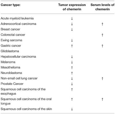 Mechanisms and Functions of Chemerin in Cancer: Potential Roles in Therapeutic Intervention